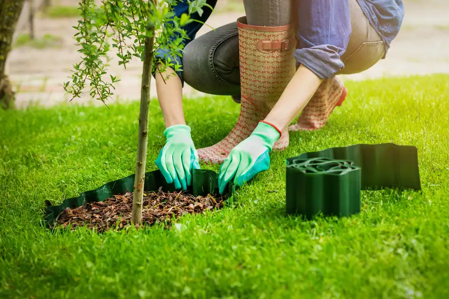 How Flower Bed Edging Enhances Landscape Organization Huntington Beach CA