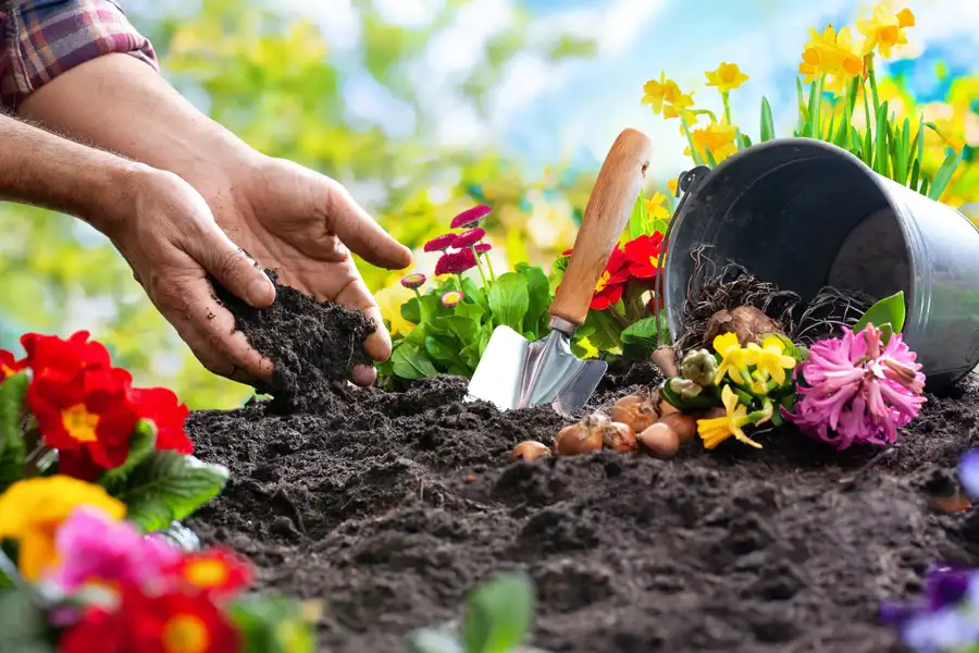 How Flower Bed Edging Enhances Landscape Organization in Huntington Beach CA