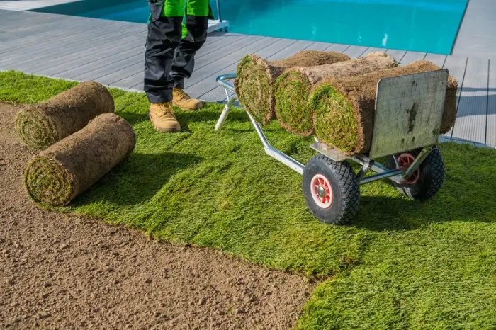 How Sod Installation Enhances Your Lawns Curb Appeal Huntington Beach CA
