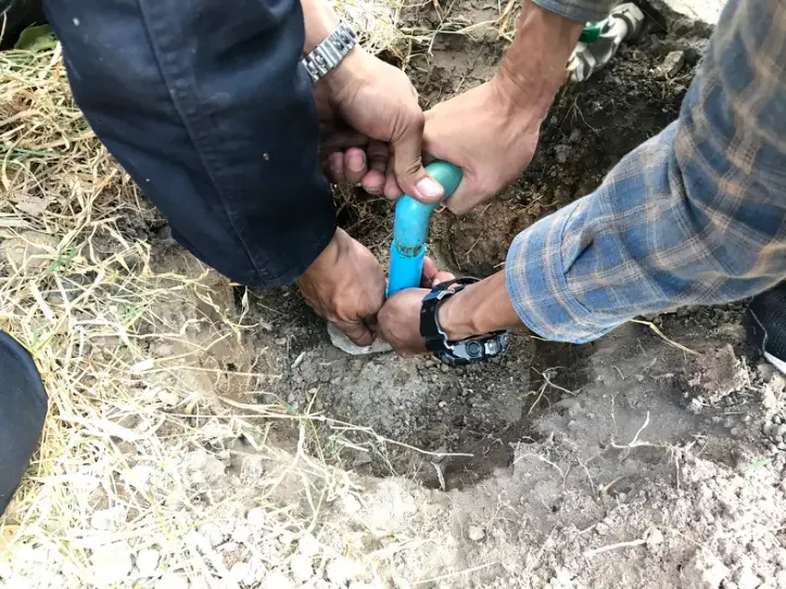 How To Identify Common Sprinkler Repair Issues Early Huntington Beach CA