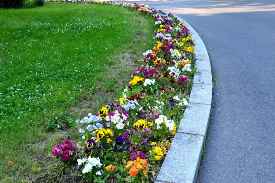 Local Flower Bed Edging Huntington Beach CA