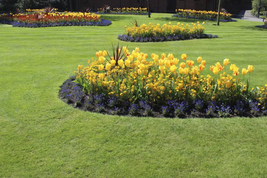 Premium Flower Bed Edging Huntington Beach CA