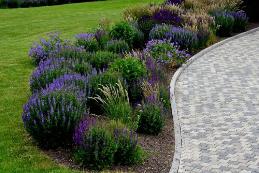 Professional Flower Bed Edging Huntington Beach CA