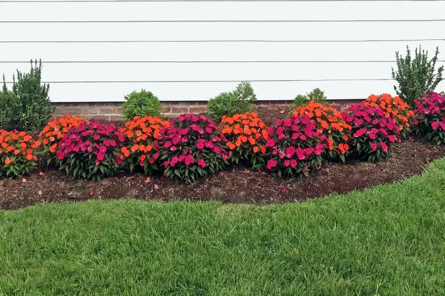 The Role Of Flower Bed Edging In Weed Prevention Huntington Beach CA