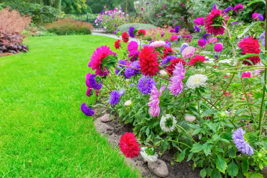 The Role Of Flower Bed Edging In Weed Prevention in Huntington Beach CA