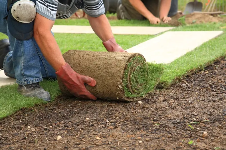 Why Professional Sod Installation Saves Time And Money Huntington Beach CA
