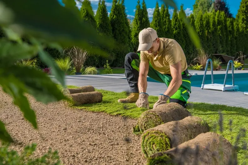 Why Professional Sod Installation Saves Time And Money in Huntington Beach CA