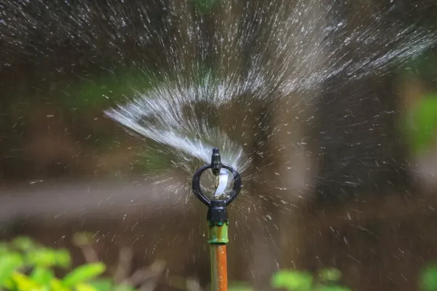 Why Timely Sprinkler Repair Is Crucial For Lawn Health Huntington Beach CA