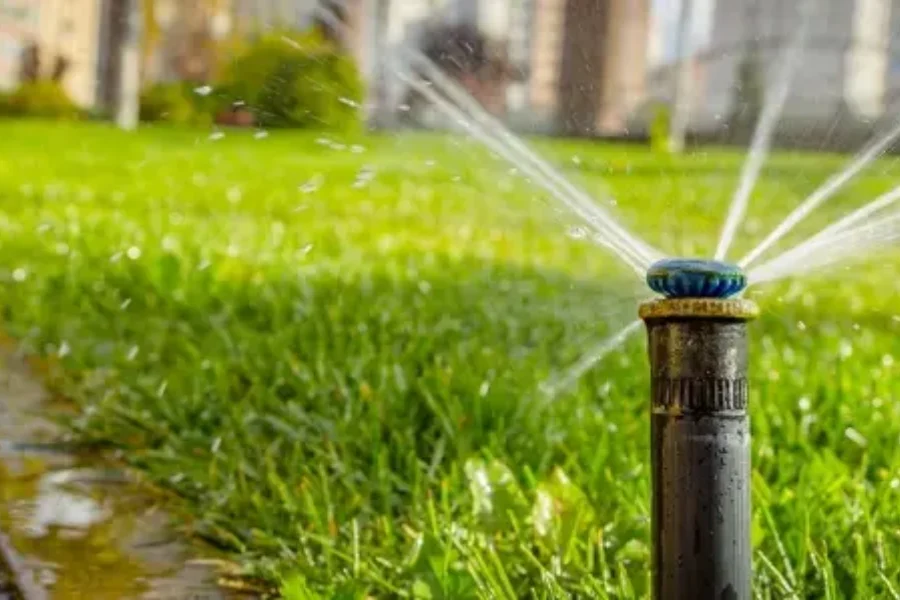 Why Timely Sprinkler Repair Is Crucial For Lawn Health in Huntington Beach CA